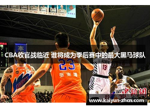 CBA收官战临近 谁将成为季后赛中的最大黑马球队