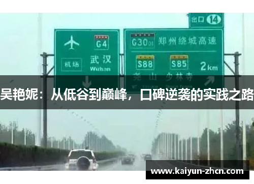 吴艳妮：从低谷到巅峰，口碑逆袭的实践之路