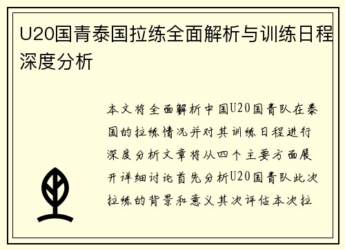U20国青泰国拉练全面解析与训练日程深度分析