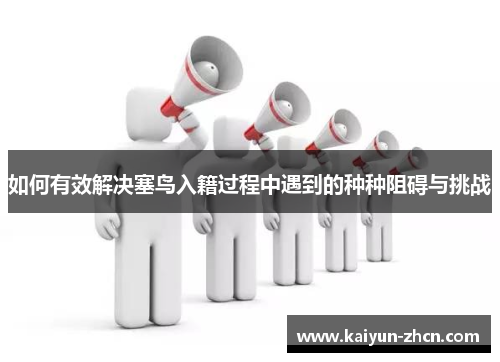 如何有效解决塞鸟入籍过程中遇到的种种阻碍与挑战